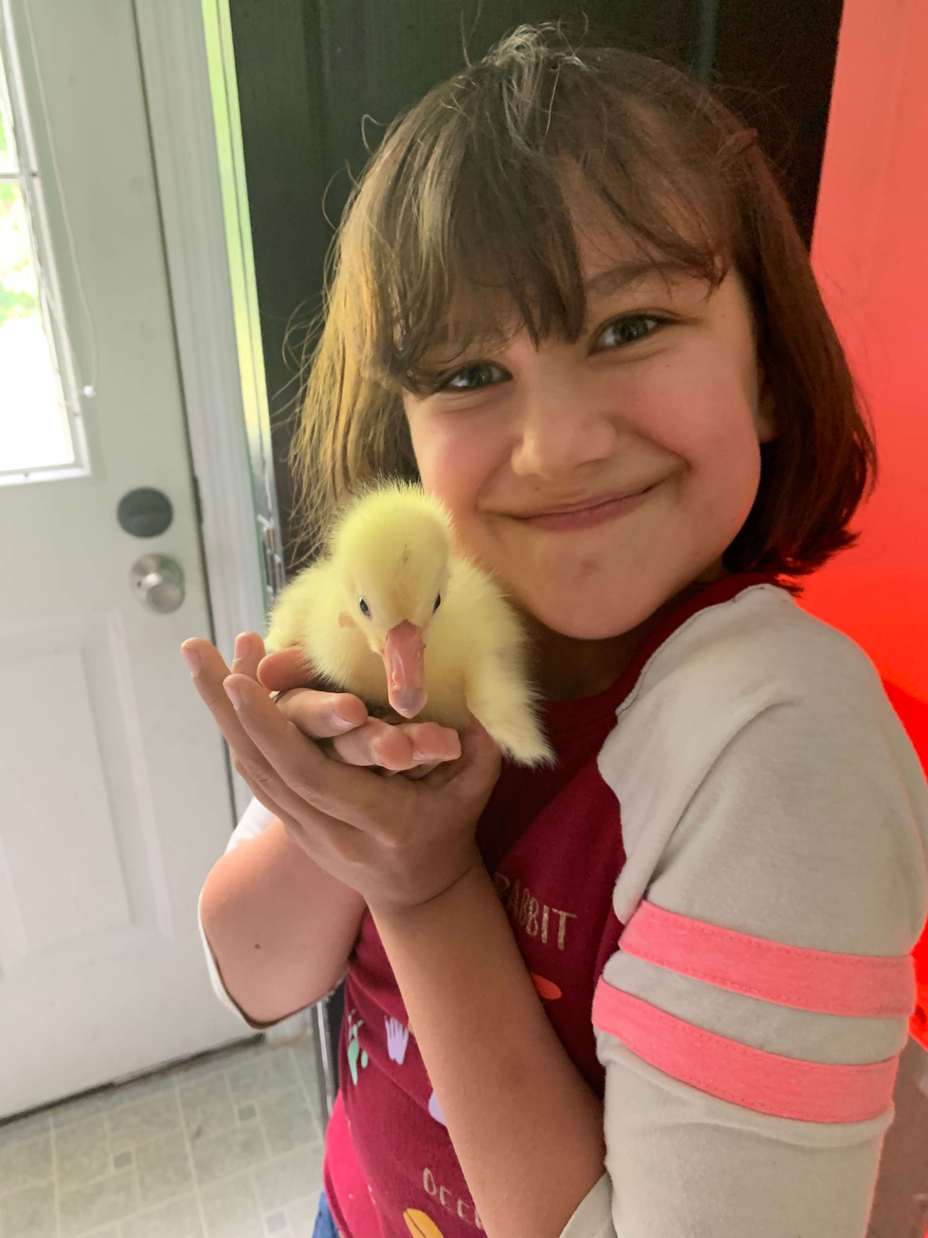 gosling